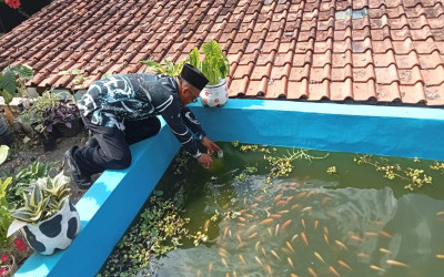 MTsN 5 Kulon Progo Lakukan Pembaruan Pipa Pembuangan Kolam Ikan, Tingkatkan Keamanan Biota Air