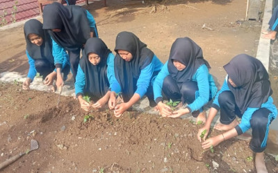 Siswa MTsN 5 Kulon Progo Pindahkan Benih Unggul dari Green House ke Lahan Terbuka